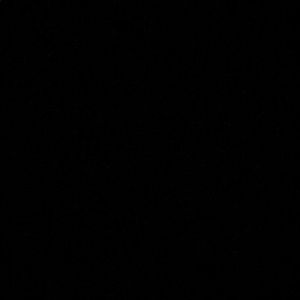 Meet your Posher, Daija